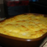 dsc0008k