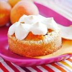 tarteletteabricot_stellacuisine